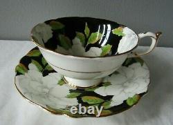 Vintage PARAGON Bone China White Cabbage Rose on Black Tea Cup & Saucer withGold