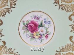 Vintage Paragon Bone China Light Green Pink Rose Gold Tea Cup & Saucer Superb