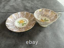 Vintage Paragon Bone China Teacup and Saucer rose and fruit pattern with gold