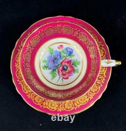 Vintage Paragon DW England ANEMONES POPPY Gold Filigree Maroon Cup Saucer A2108