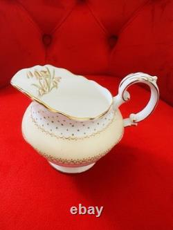 Vintage Paragon Fine Bone China Coffee Set A1717 5 Cups Saucers Teapot England