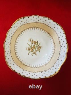 Vintage Paragon Fine Bone China Coffee Set A1717 5 Cups Saucers Teapot England