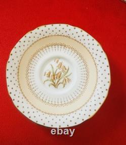 Vintage Paragon Fine Bone China Coffee Set A1717 5 Cups Saucers Teapot England