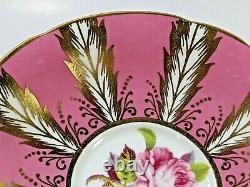 Vintage Paragon Pink Cup & Saucer, Cabbage Rose, Rose Panels, Gold Gilt & Trims