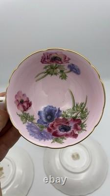 Vintage Paragon Poppy and Anemone Teacup And Sauser x3 Rose Bone China Gold Rim