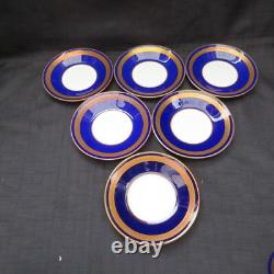 Vintage Royal Worcester Hampton 12 Pcs Cups & Saucers