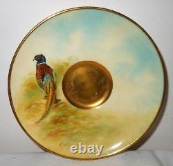 Vintage Royal Worcester Signed Maybury, Gilded, Hand Painted Cup & Saucer