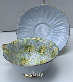 Vintage SHELLEY Blue OLEANDER Shape Cup & Saucer with CHINTZ Primrose & Gold