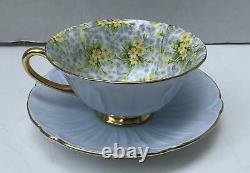 Vintage SHELLEY Blue OLEANDER Shape Cup & Saucer with CHINTZ Primrose & Gold