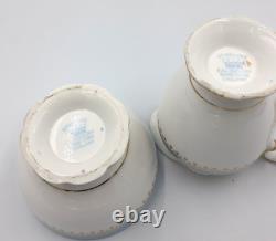 Vintage Starline Coffee Set by Salisbury Fine Bone China Powder Blue & Gold