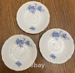 Vtg Consort Fine Bone China England (5) Tea Cups/Saucers Gold Trim Blue Flowers