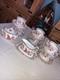 Wedgwood Golden Cockerel 21 Pieces Excellent Condtion Ref R4538