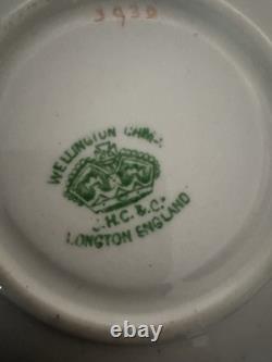 Wellington JHC & Co Antique Bone China Tea Set 16 Pieces