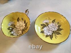 Yellow paragon tea cup saucer flowers gold gilt paint Gardenia flowers